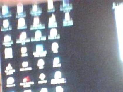 Picture 1255 - daalina