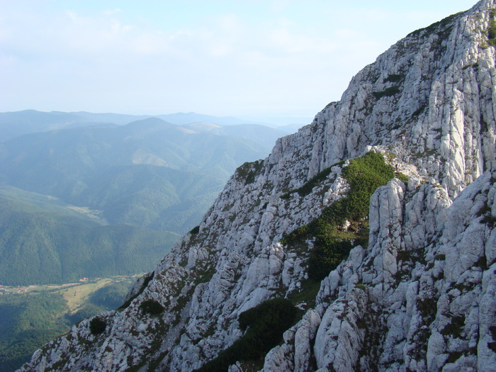 DSC04129 - Piatra Craiului August 2009 Valea Crapaturii