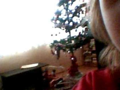 Picture 1259 - daalina