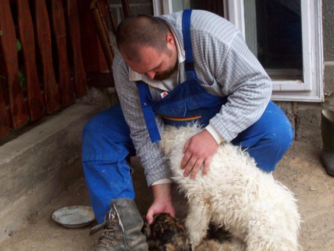 CSAK EGYBOL KELET VOLNA 044 - KOMONDOR