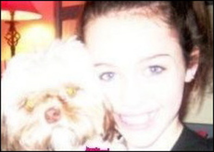 2566284478_f46aee1221[1] - Miley Cyrus