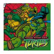 JVLGLNYULTOWCBFGCLC - ninja turtles