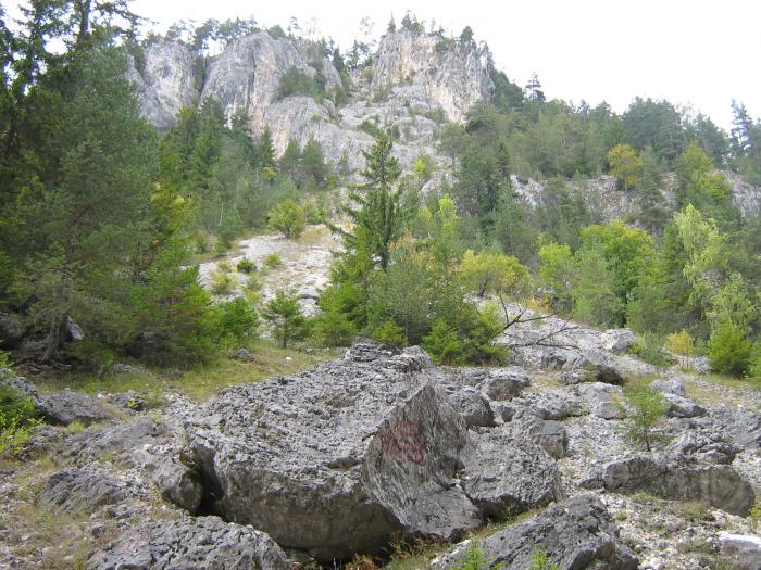 V.cheii sept. 2008 044 - Valea Cheii-Podul Dambovicioarei-Piatra Craiului