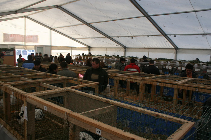 EXPO-PAS Suceava 2009