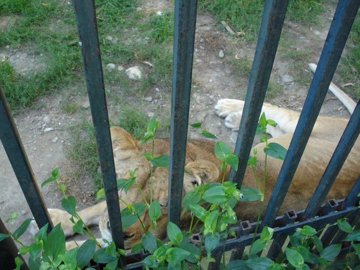 Picture 003