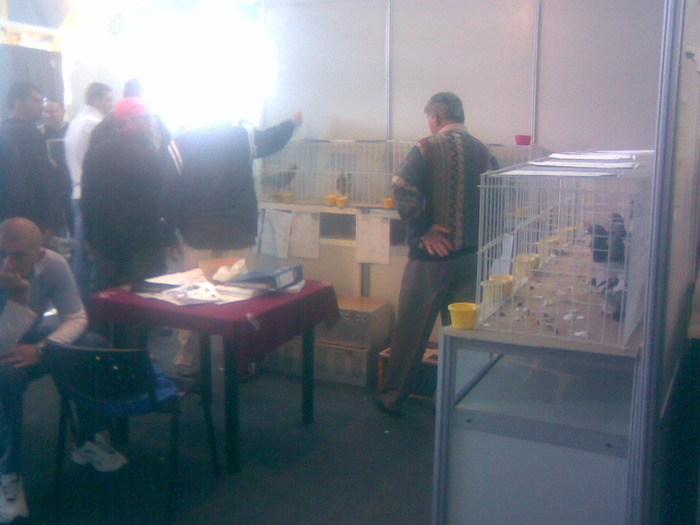 Imag071 - S -Expo Cluj 24-25 Octombrie