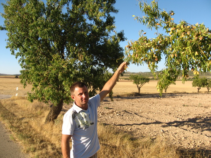 IMG_3969 - excursie in Spania