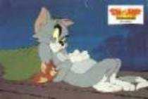 255776aff87597aa - tom si jerry