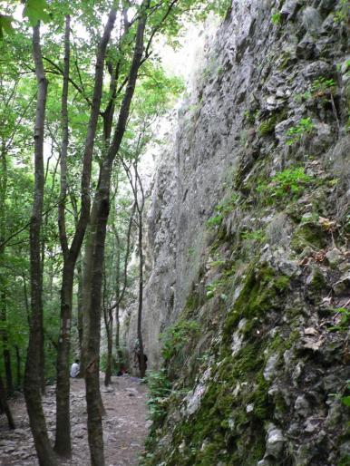 P100082