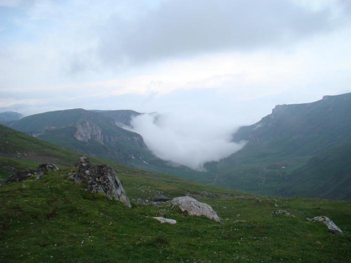 DSC01896 - Concediu 2008