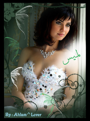 2823508457_b60f54d033 - Tuba Buyukustun