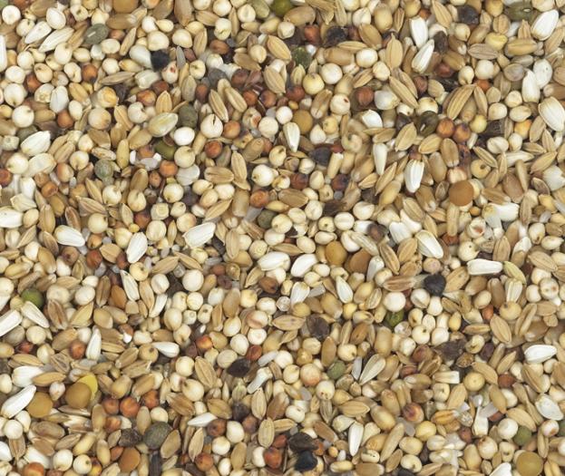 dieta extra Nr26(14 seminte); dieta extra 14 seminte
