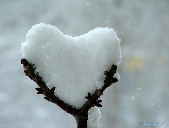 snow_heart_ulyv - Hearts