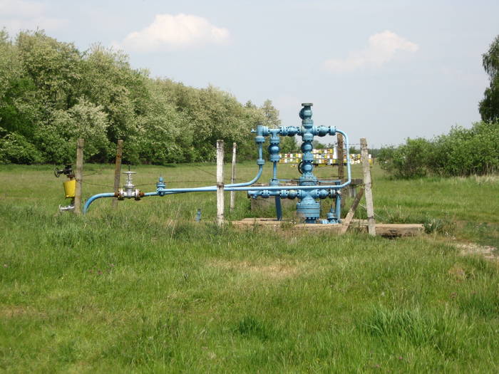 IMG_3467 - salcim I si II 2009