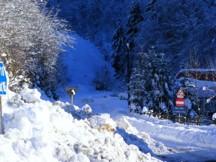 dscf3412ol2 - winter2008-2009