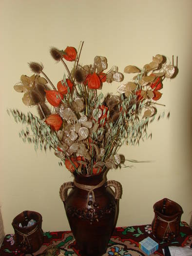 Vaze de la Marginea