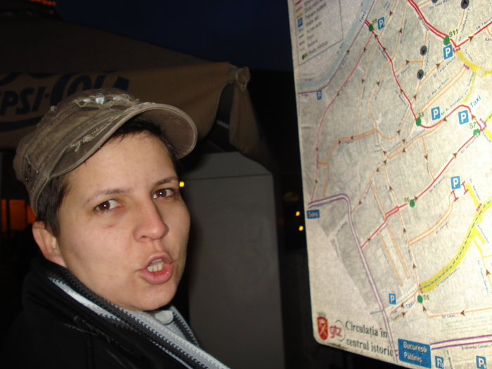 DSC06320 - 2010 REVELION SIBIU