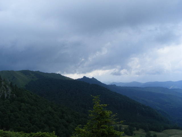 DSCF3051