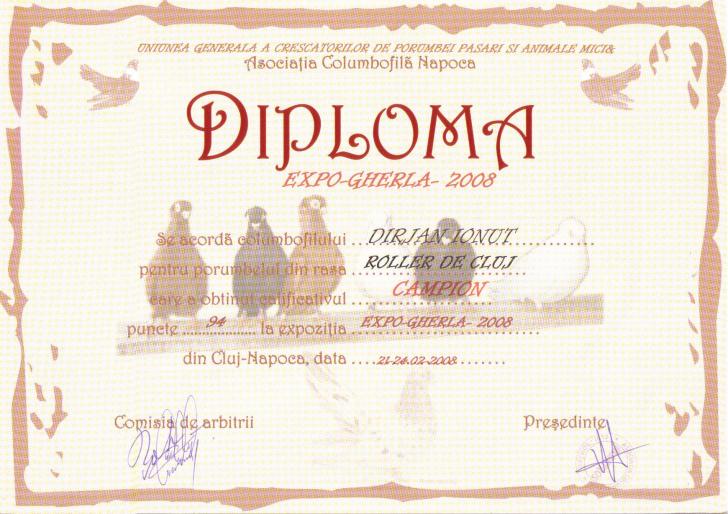 Diploma Gherla 2008 - Palmares