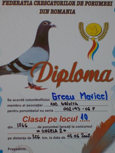 100_2882 - rezultate