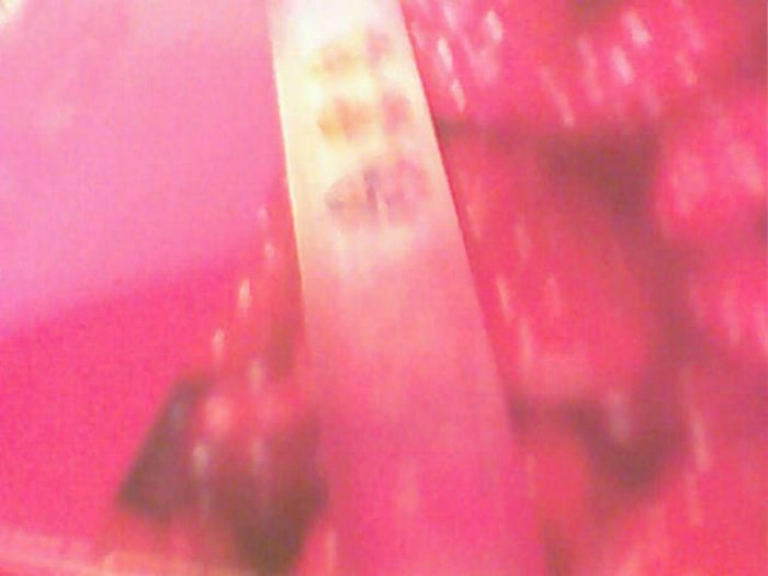 snapshot-1141 - Rigla mea roz cele 3 fete frumoase