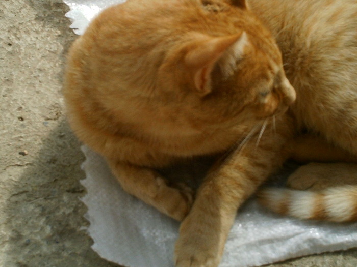 IMAG0050