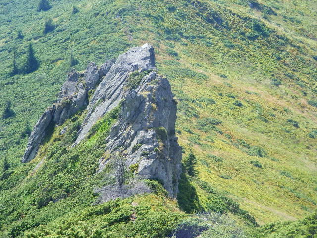 DSCF4382 - 2 august 2009 Traseu Suior Secatura Creasta Cocosului Gutaiul Doamnei  Vf Gutai