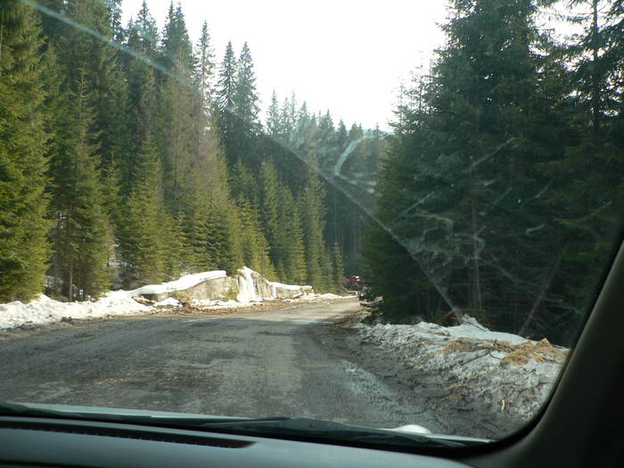 P1040593
