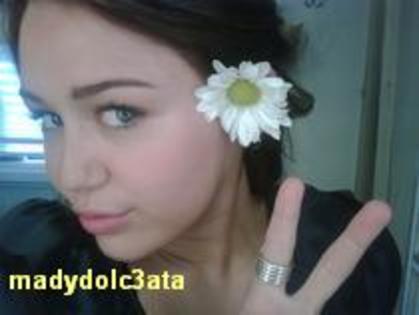 aaaaaa miley q floare - miley cu floare la ureche