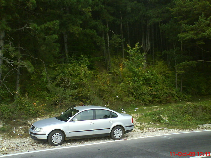 DSC02248 - transfagarasean si flora din Drauseni  BV