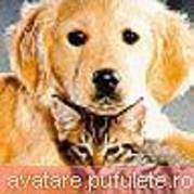 ac9c33742b84d272 - animale