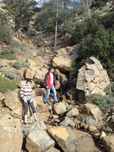 Picture 684; Muntii Troodos
