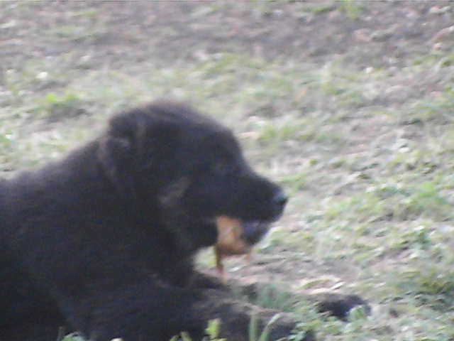 poze 04.05.2009 119