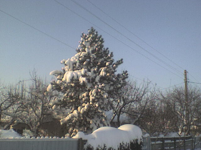 DSC01260 - iarna in sat