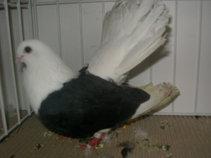 SANY0128