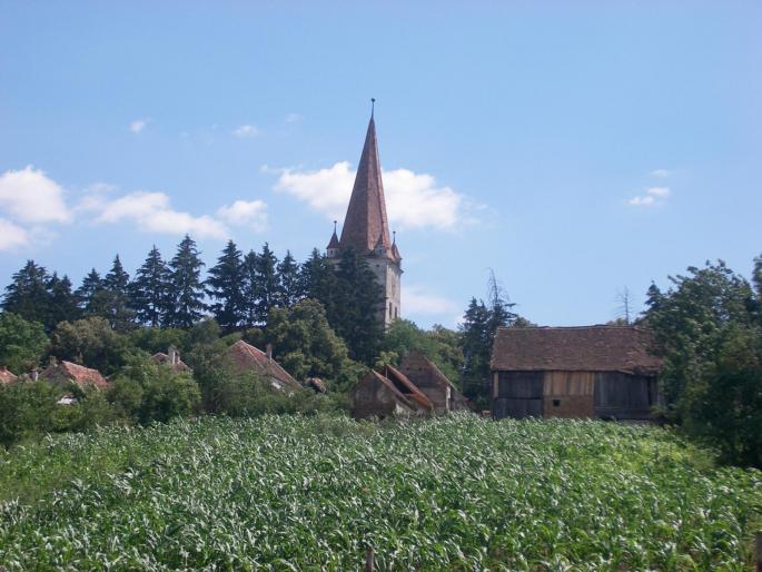 Cincu-Biserica Evanghelica - Natura