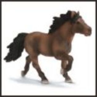 cal din schleich - Schleich