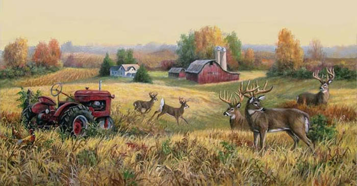 Heartland Bucks_jpg