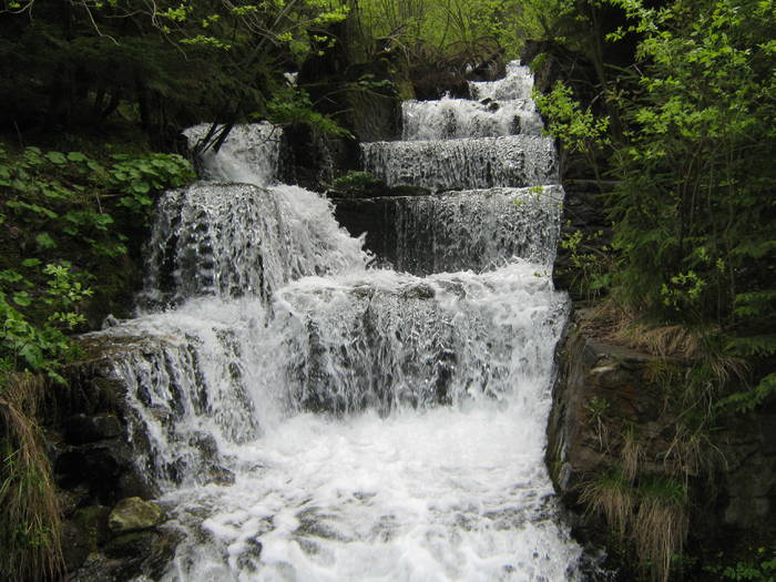 LACUL GALBENU 17.05.2009 139 - VALEA LATORITEI