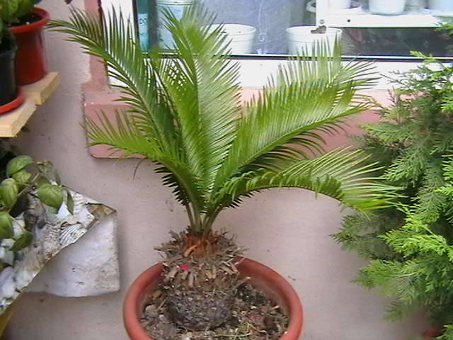 IMGA0559