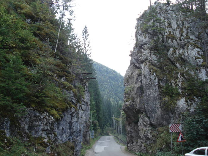 DSC07044 - LACUL ROSU