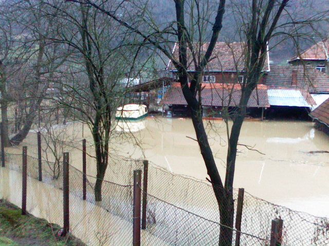 Picture 045 - Inundatii decembrie 2009 apa in gradina si curtea mea de la CRISCIOR