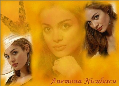 d5 - anemona niculescu