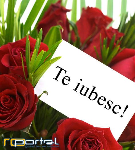 Te_Iubesc!