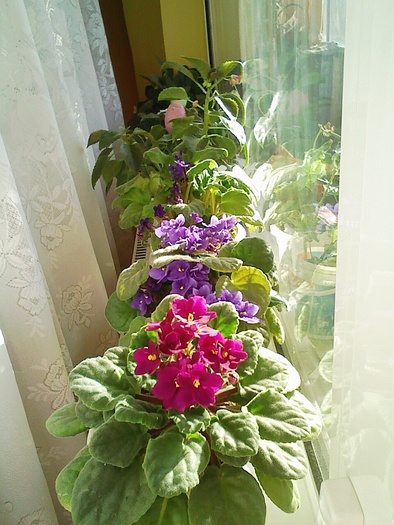 Image0005; 1.nov.2009
