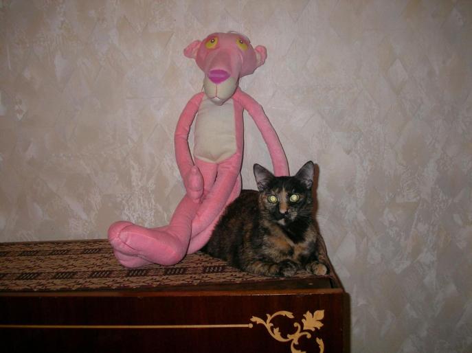 Mitza & Pink Panther 20 - Mitza