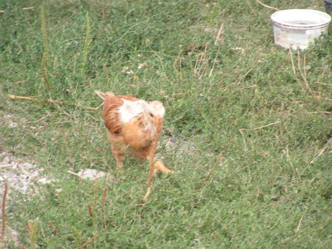 PICT879 - 2007 concediu poze 1