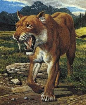 Smilodon1[1]