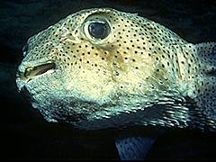 108 - poze muuuuuuuuuuuuuulte