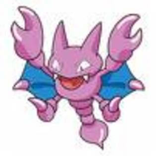 gligar; gligar
